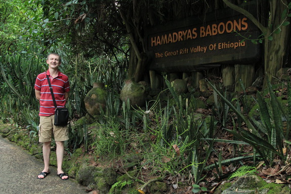 Моя Сингапурская сказка. Singapore ZOO.